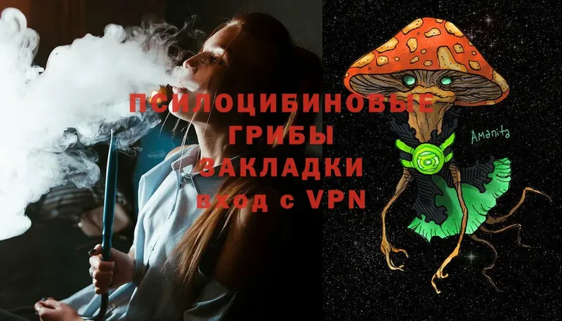 где продают   Вилючинск  KRAKEN зеркало  Псилоцибиновые грибы Cubensis 